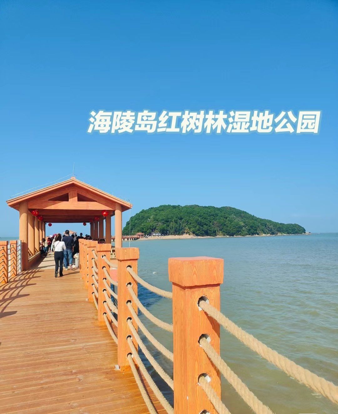 《海陵岛红树林湿地公园:维护海岸的卫士》