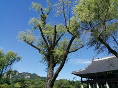 -景福宫