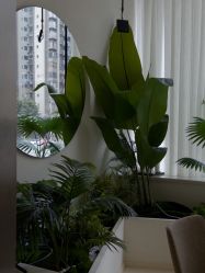 -不懂瑜伽·普拉提空间
