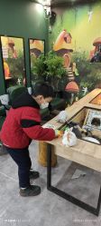 -神奇动物撸宠馆·羊驼·小浣熊·异宠(豫园店)