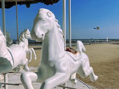 -巧克力渔家.小船海鲜家常菜(万平口店)