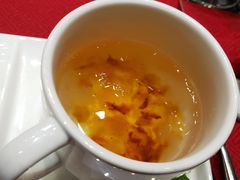 -诺莱仕游艇会