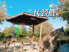 -上海野生动物园