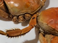 -吉布鲁牛排海鲜自助(芙蓉万家丽店)