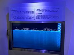 -白鹤梁水下博物馆