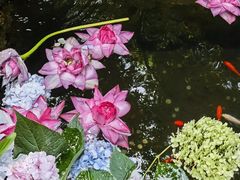 -寂照庵