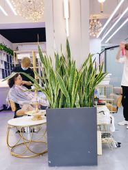 -FUTURE HN男士发型风格设计