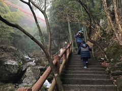 -藏龙百瀑风景区