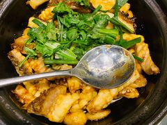 -朱记乳鸽王·非遗石岐乳鸽·全鸽宴(大兴旗舰店)