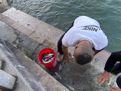 -龙舟池