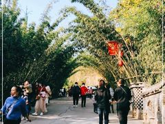 -倒盏民俗文化村