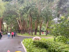 -长春公园(普阳街道)