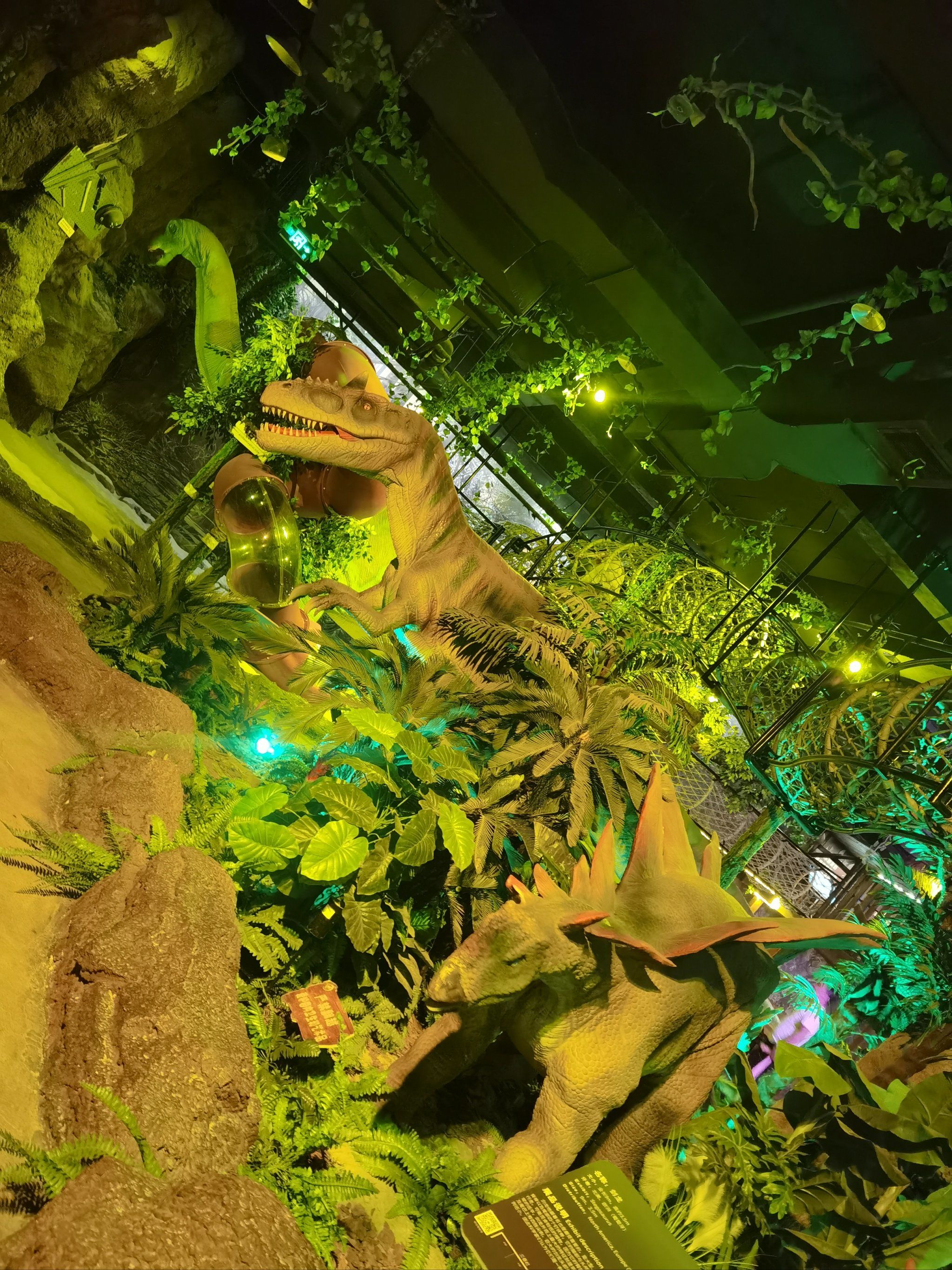 恐龙在眼前,真实感爆棚