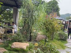 -湘力力小院·鱼汤泡饭(枫林路店)