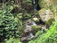 -南山植物园