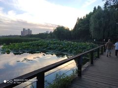 -前关湿地公园