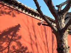 -西安市广仁寺