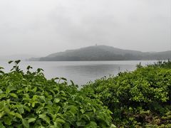 -蠡湖大桥公园