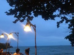 -卷心菜和避孕套餐厅(Pattaya)