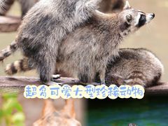 -长鹿旅游休博园