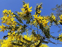 -常熟路(地铁站)