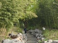 -皇家御河游(紫御湾码头)