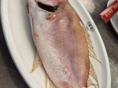 -吴记富苑(朝阳店)