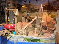 -正佳雨林生态植物园