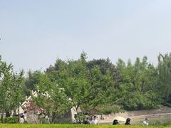 -团结湖公园