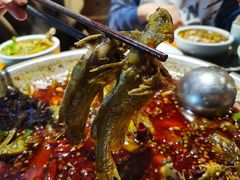 -小饕荟雅安贡椒鱼鲜馆(广福桥店)