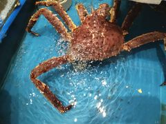 -映像威海·海鲜味道(经区店)