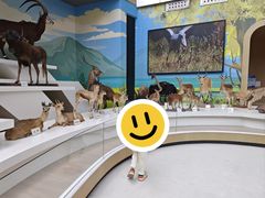 -陕西自然博物馆