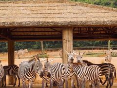 -杭州野生动物世界