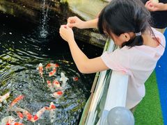 -丽泽山庄·生态怀柔菜·虹鳟鱼(红螺寺店)