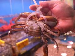 -四海之家(蛇口店)