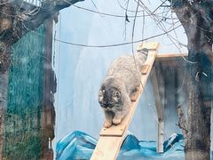 -青藏高原野生动物园