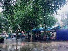 -洛阳市牡丹公园