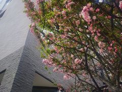 -四川大学(华西校区)