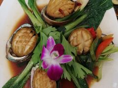 -友强·23年特色海鲜大排档(厦门店)