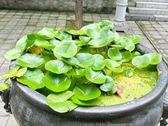 -兴教寺
