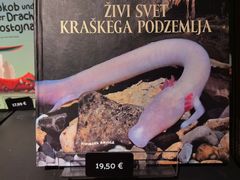 -波斯托伊纳溶洞