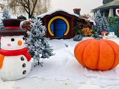 -南京银杏湖乐园