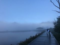 -大九湖