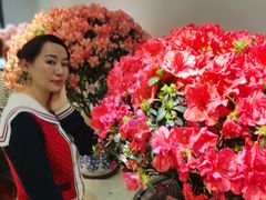 -汇龙潭
