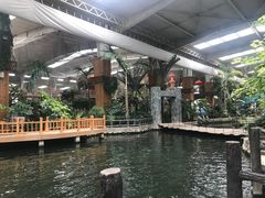 -南宫五洲植物乐园