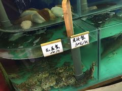-锋味海鲜菜馆