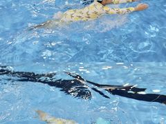 -万科城市广场(厚街店)