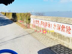 -上海滨江森林公园