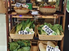 -滇铺子·云南特色菜·第九届野生菌美食节(曲靖万达店)