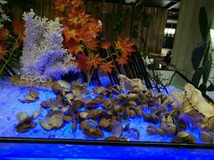 -长沙北辰洲际酒店-兰调全日餐厅